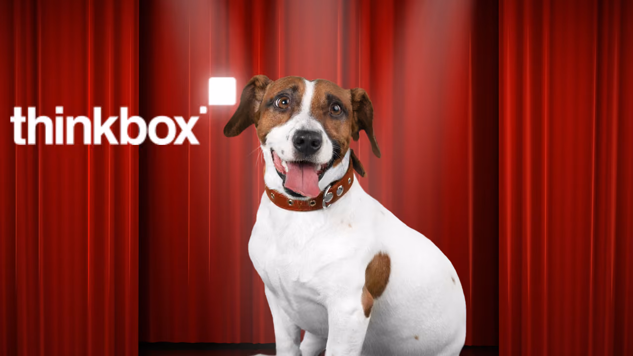 A Jack Russell sitting in front of red theatre curtains, tongue out, beside the thinkbox logo