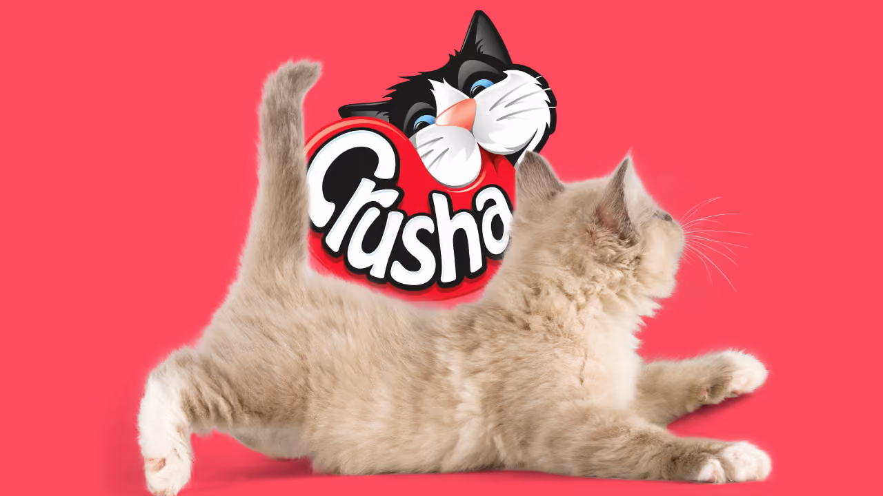 A cream kitten stretched out on hot pink in front of the Crusha logo, the brand's black and white cartoon cat peering over the top