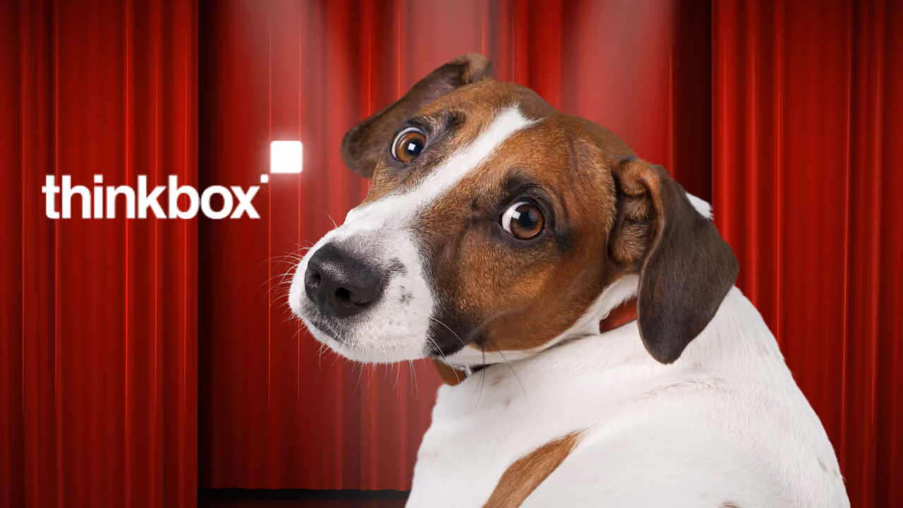 The same Jack Russell looking back over its shoulder at the camera, wide-eyed, against the red curtains