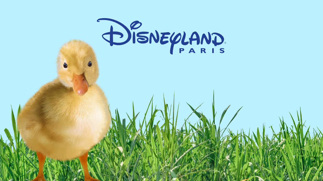 The same duckling standing in long grass under the Disneyland Paris logo