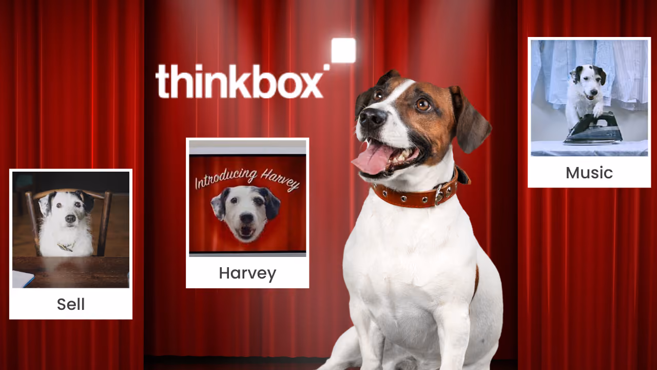The Jack Russell centre stage, with three cards naming what made the advert work: Sell, a dog sitting up at a table; Harvey, a title card reading 'Introducing Harvey' over another dog's face; and Music, a dog with a paw on an iron beside a rail of shirts
