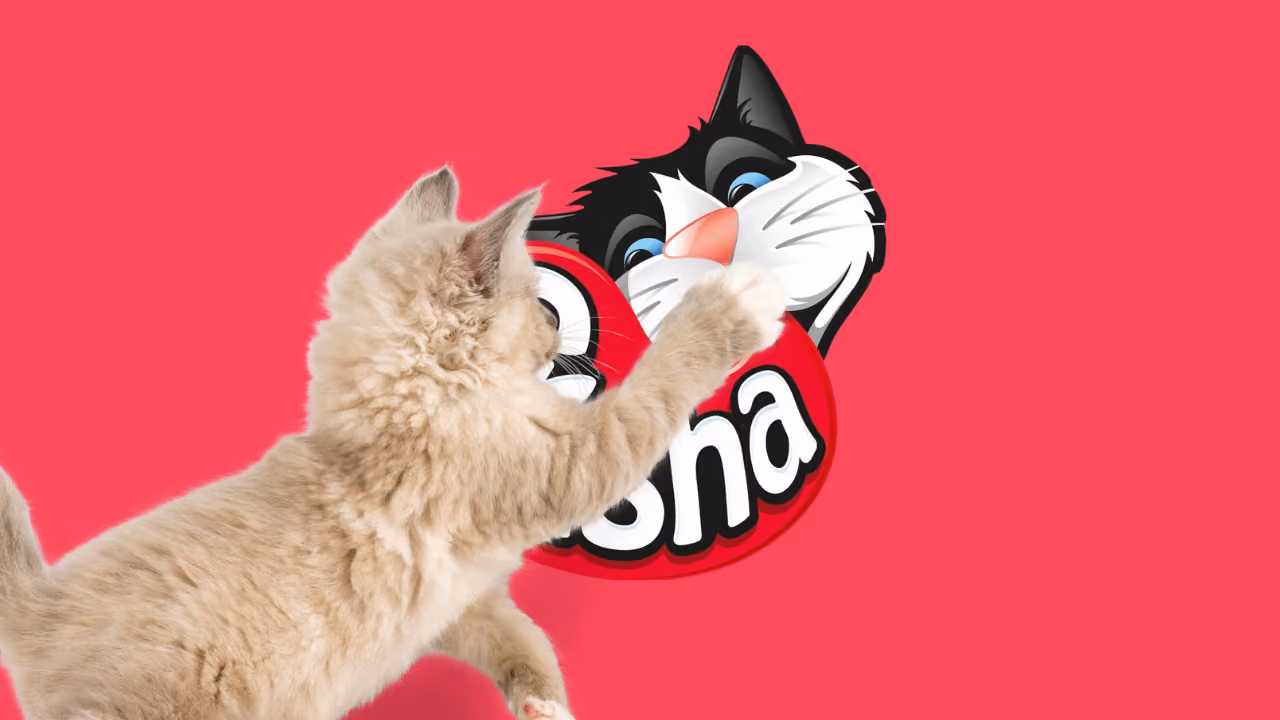 The same kitten rearing up to swipe a paw across the Crusha logo, half covering the cartoon cat's face