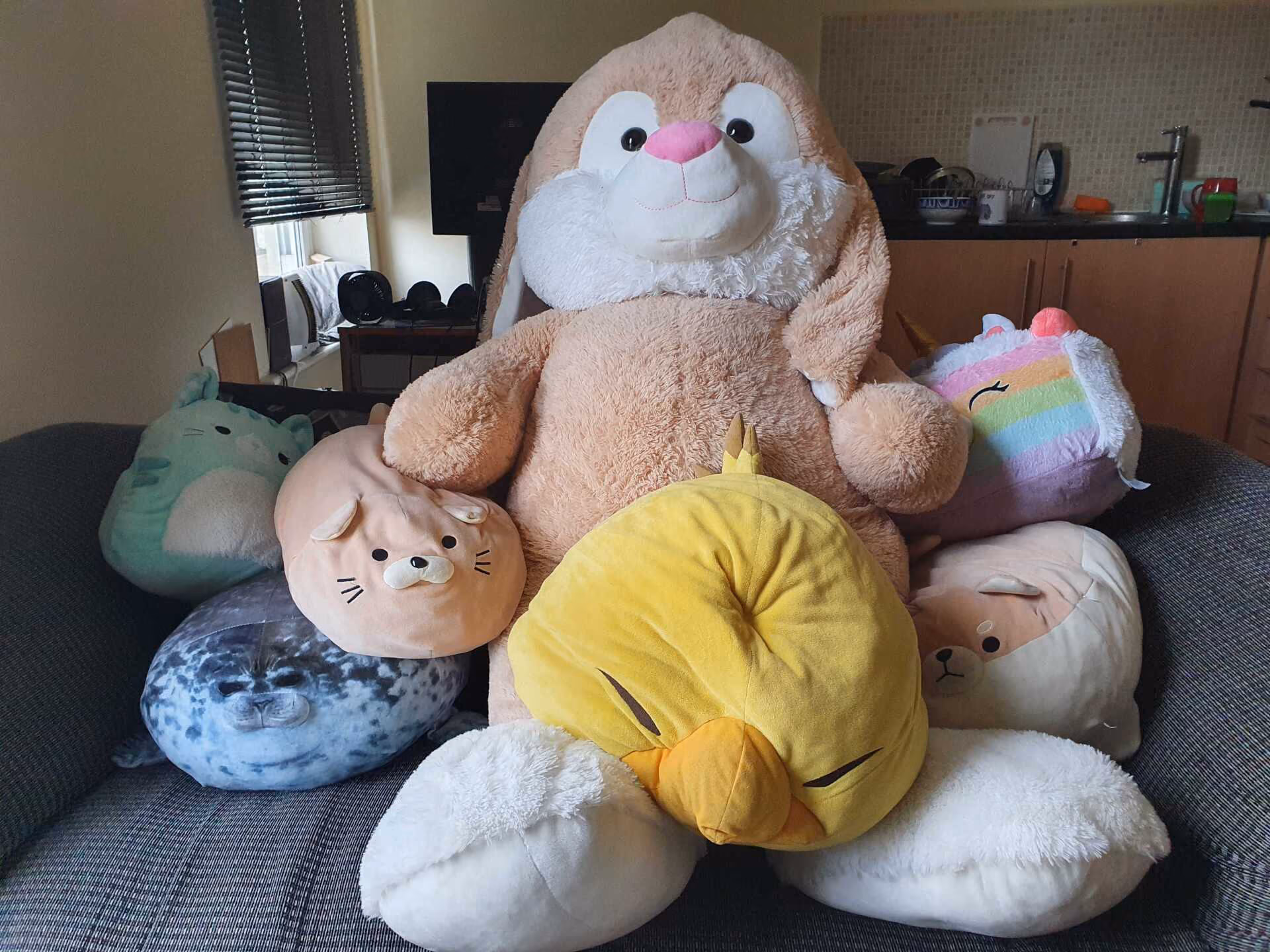 A sofa piled with soft toys, a large rabbit at the back and round plush seals, cats, a duck and a rainbow among them