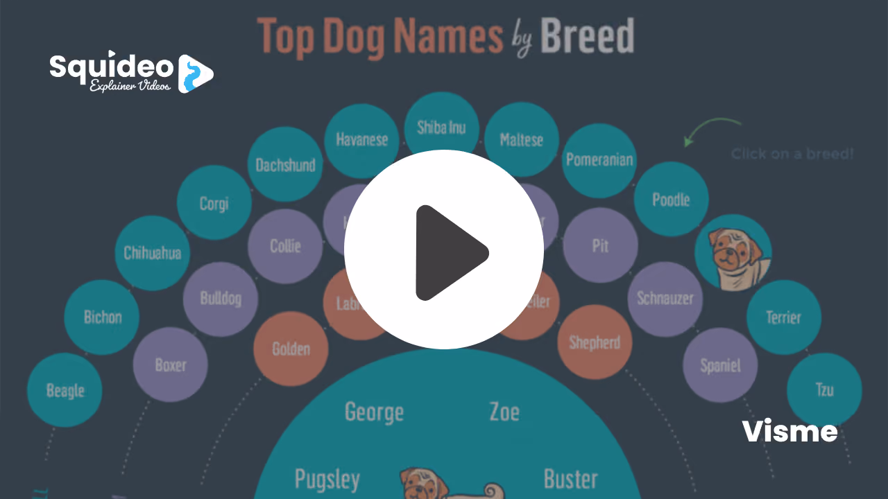 Visme's Top Dog Names by Breed: an arc of coloured circles — beagle, boxer, bulldog, chihuahua, corgi, collie, dachshund, havanese, shiba inu, maltese, pomeranian, poodle, schnauzer, spaniel, terrier — feeding into a larger circle of names including George, Zoe, Pugsley and Buster, captioned 'click on a breed!'