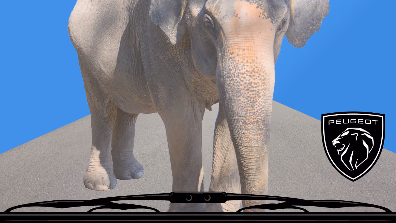 An elephant walking towards the camera on a road, seen over a car's windscreen wipers, with the Peugeot lion badge in the corner