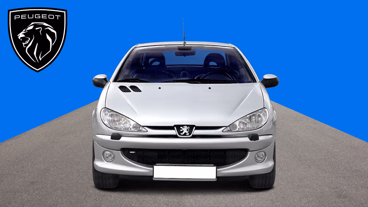 A silver Peugeot 206 photographed head-on against blue, the Peugeot lion badge in the corner, carsized.com watermarked across the picture